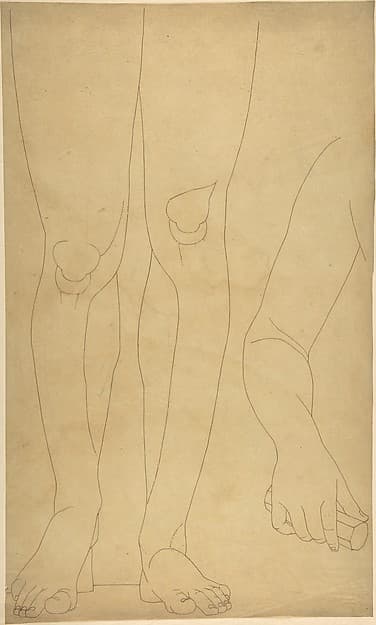 Study of Lower Legs and an Arm