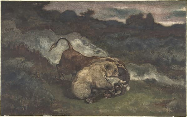 Bear Killing a Bull