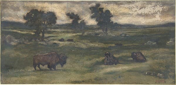 Group of Bison