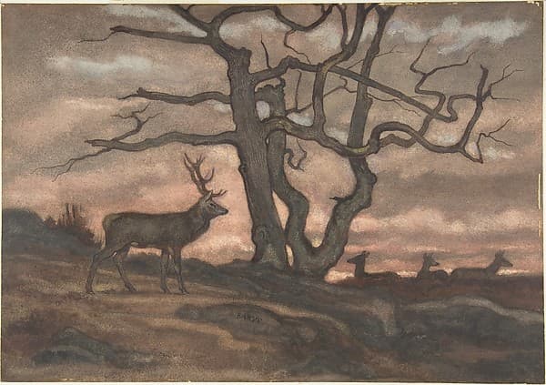 Deer and Tree Against Sunset