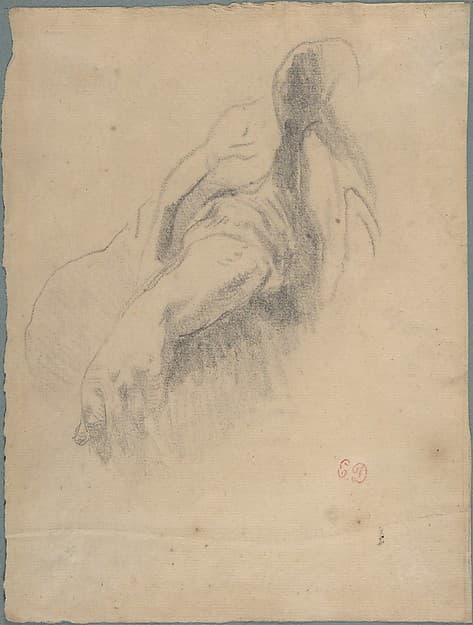 Study of a Left Arm and Hand