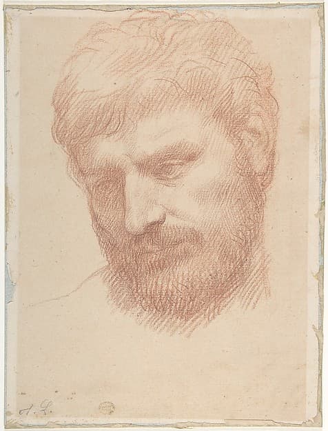 Head of a Man