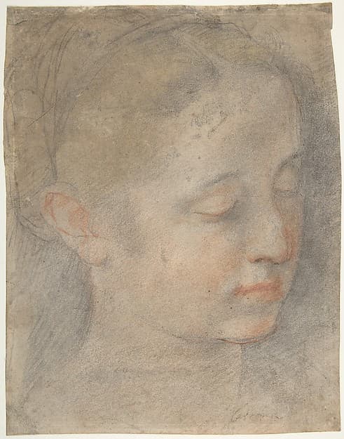 Head of a Young Woman Looking to Lower Right