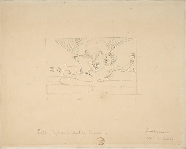 Portrait of Camuccini, Vincenzo