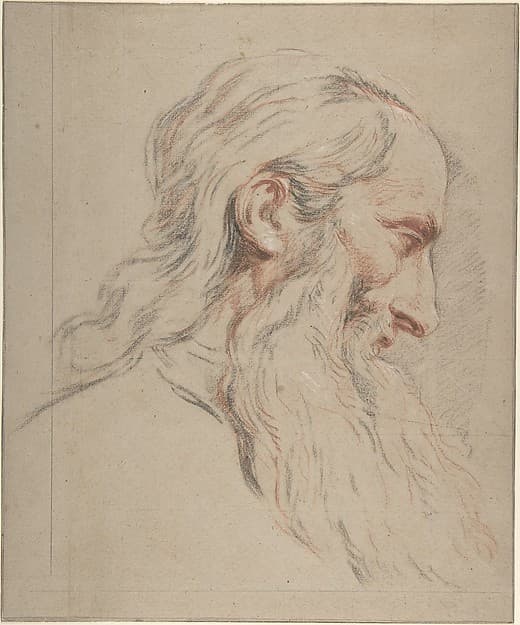 Head of a Bearded Man