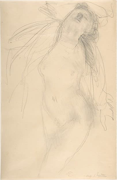 Female nude reclining