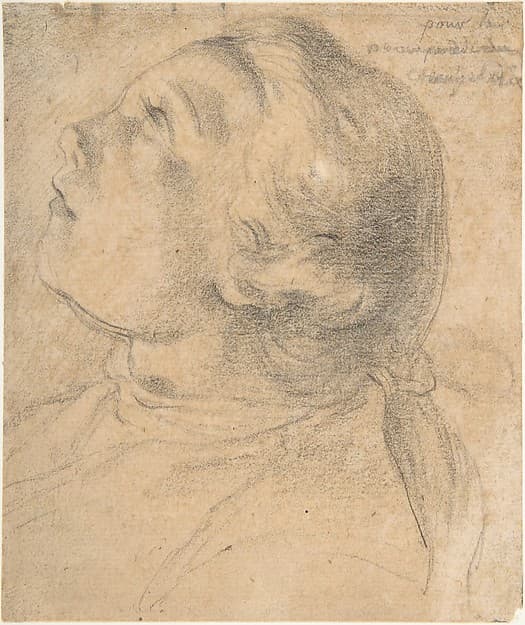 The Upturned Head of a Young Boy in Profile