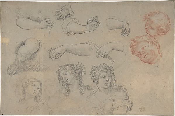 Studies of Heads and Hands