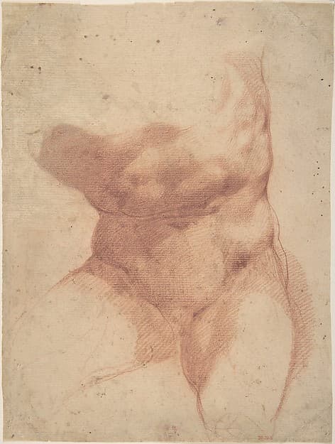 Study after the Belvedere Torso