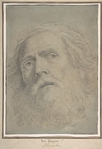 Head of a Bearded Man