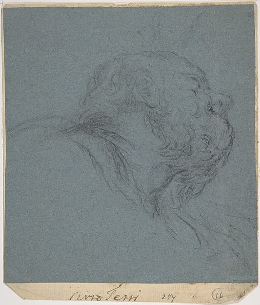 Head of a Bearded Man Looking to Upper Right