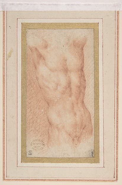 Male Nude Torso with Raised Arms