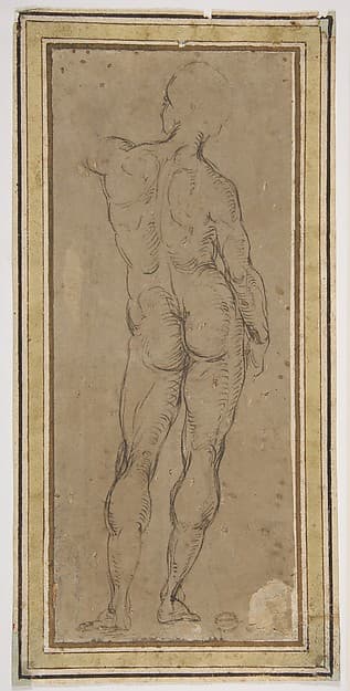 Male Figure Seen from Rear, after a drawing by Michelangelo