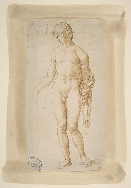 Standing Male Nude