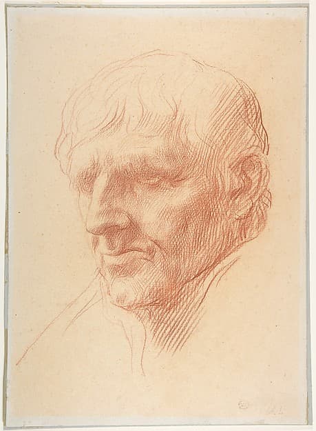 Head of a Man