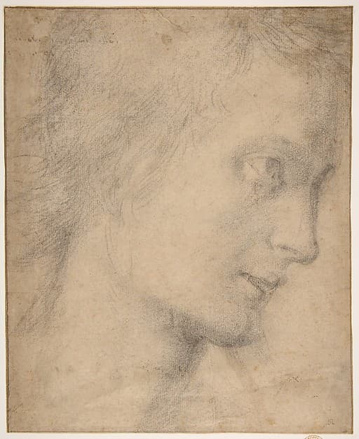 Portrait of Sogliani, Giovanni Antonio