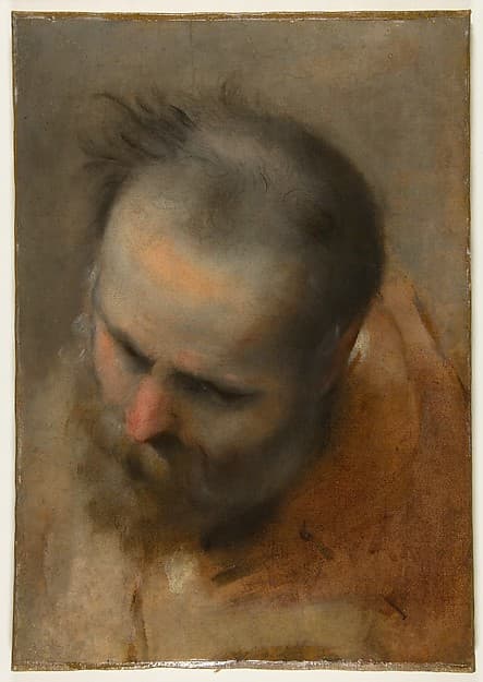Head of a Bearded Man Looking to Lower Left (Nicodemus)