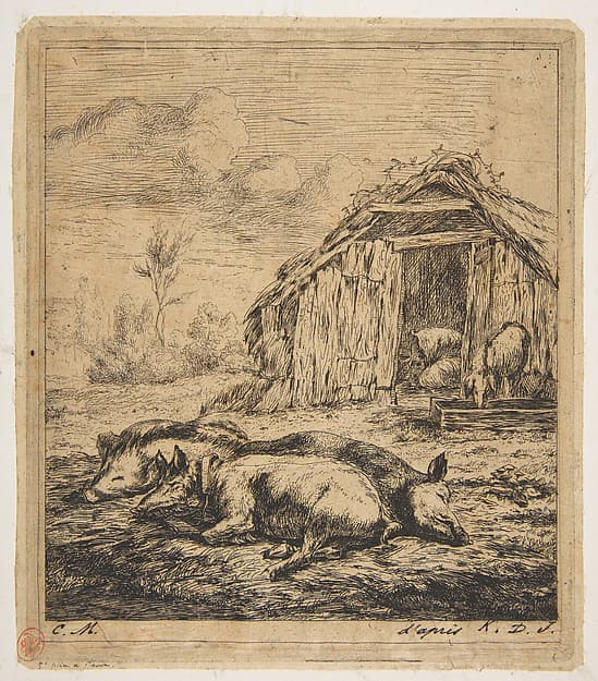 Three Pigs Lying in Front of a Shed