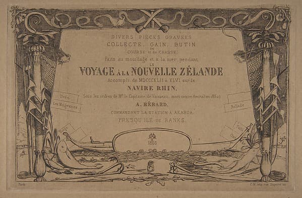 Cover: The Voyage to New Zealand (1842 - 46)
