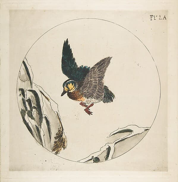 Decoration for a Plate: A Duck flying over Snow-covered Branches