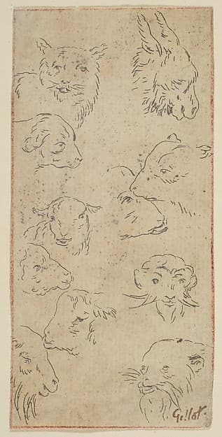 Study of animal heads