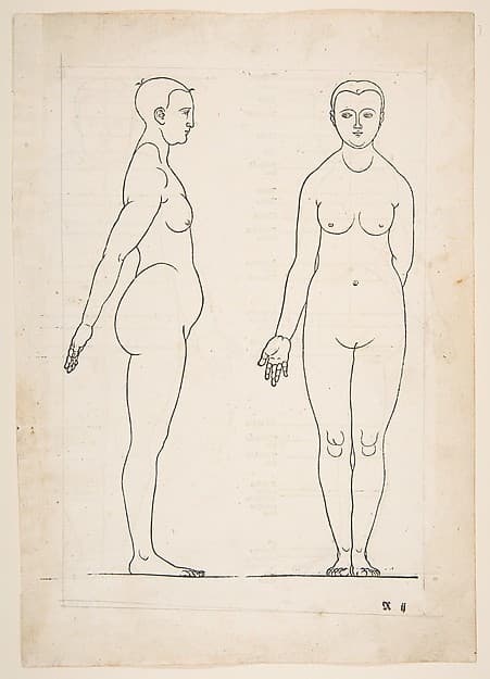IIllustration from Dürers Vier Bucher von Menslicher Proportion, Nuremberg, 1528