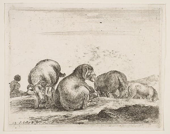 Sheep and ram in a pasture, plate 12 from "Various Animals" (Diversi Animali)
