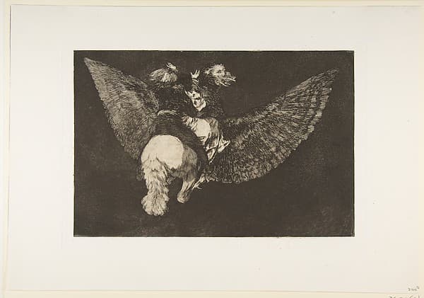 'Flying Folly' from the 'Disparates' (Follies / Irrationalities)