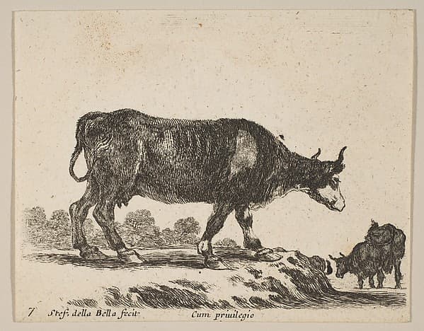 Plate 7: Cow, from "Various animals" (Diversi animali)