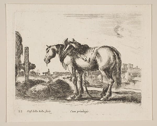 Plate 22: Cart Horse, from "Various animals" (Diversi animali)