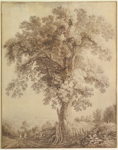A Large Tree at Albano