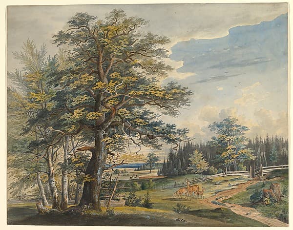 Portrait of Lebschée, Carl August