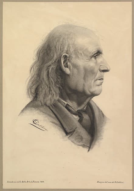 Portrait Head of a Man