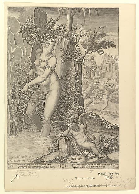 Venus Pricked by the Thorns of a Rose Bush; Cupid Asleep in the Foreground