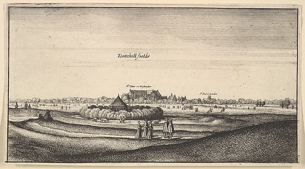 Tootehill fields (Tothill Fields, London)