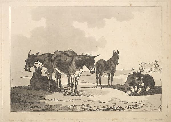A Group of Five Donkeys, Three Standing, Two Lying
