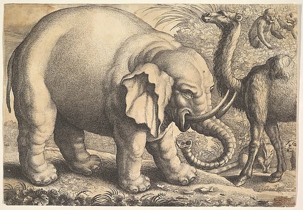 Elephant and Camel (reverse copy)