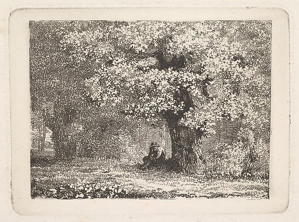 A Man Sitting under a Tree in Bloom