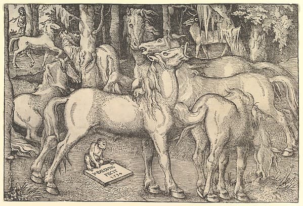 Group of Seven Horses