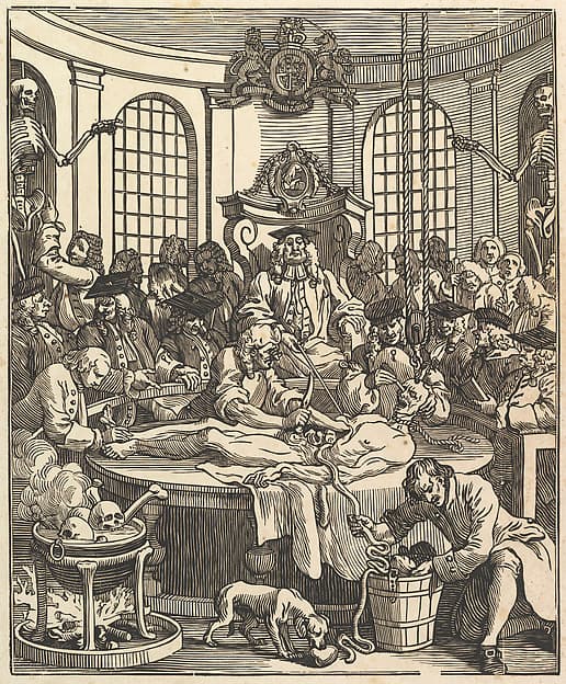 The Reward of Cruelty