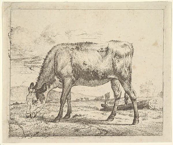 Grazing Calf, from Different Animals