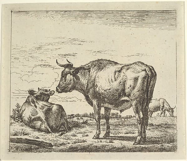 Standing Bull, from Different Animals