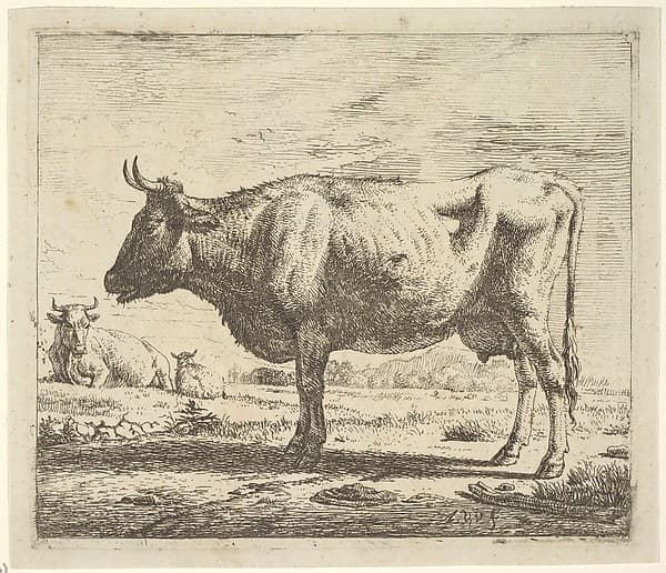 Two Cows and a Sheep, from Different Animals