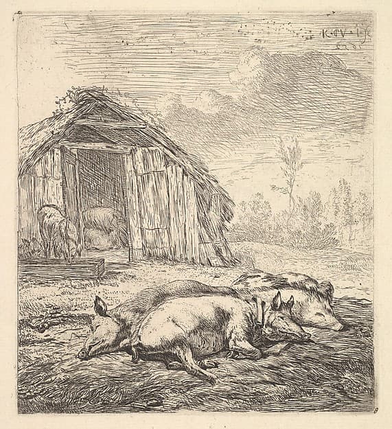 Three pigs lying on their sides, a pigsty and trough beyond