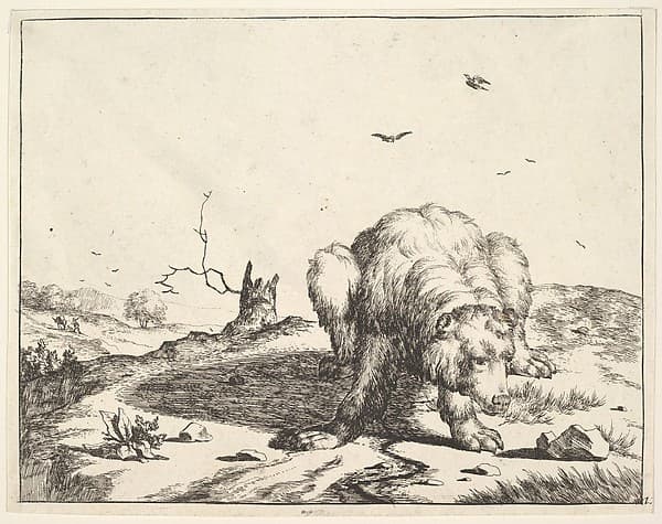 from The Set of The Bears