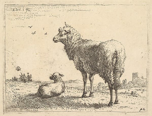 A mature sheep in three-quarters view standing and looking left, beside it a lamb lies on the grass