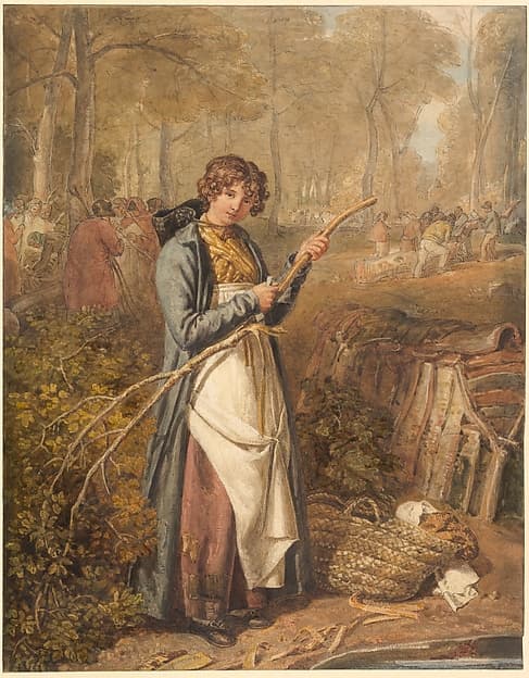 Barking Timber in Wychwood Forest, Oxfordshire