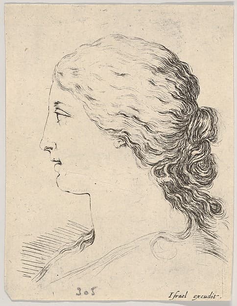 Plate 14: head of a woman, in profile, from 'The Book for Learning to Draw' (Livre pour apprendre à dessiner)