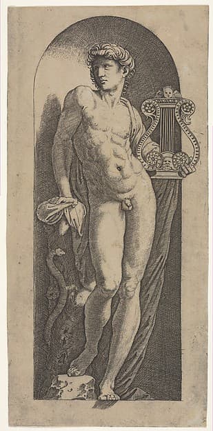 A statue of Apollo, naked standing in a niche, holding a lyre in his left hand and leaning on a tree trunk