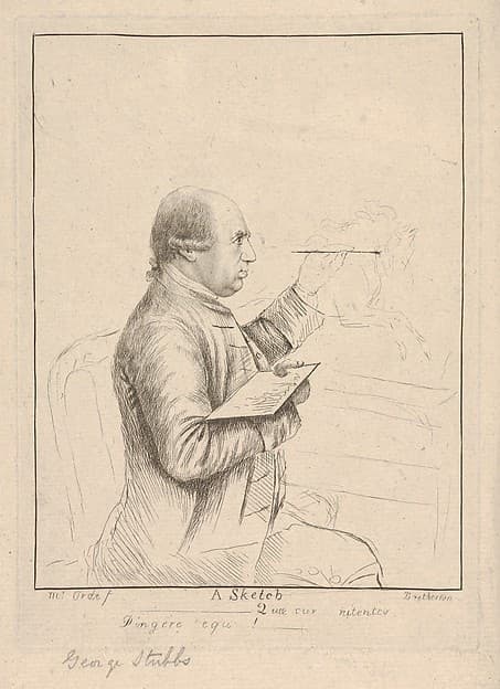 A Sketch (Portrait of George Stubbs)